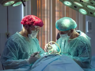 Cardiologists